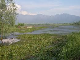 J&K Lake Crisis: CAG Report Reveals Nearly Half of Lakes Have Disappeared Since 1967